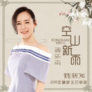 魏新雨最新歌曲，音乐魅力与独特风格的完美呈现