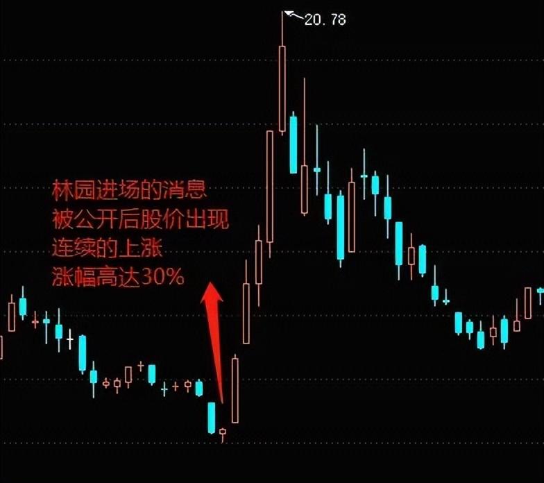 林园持股明细深度剖析