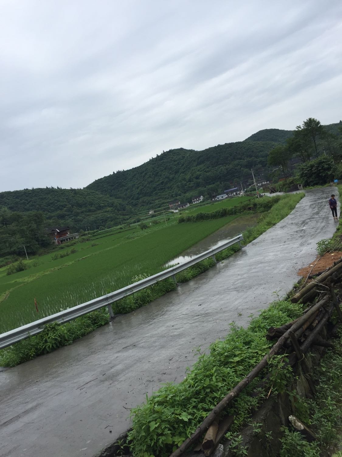 平和乡最新天气预报