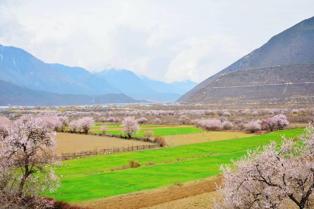 林芝地区首府住房改革委员会办公室领导团队及最新住房改革动态